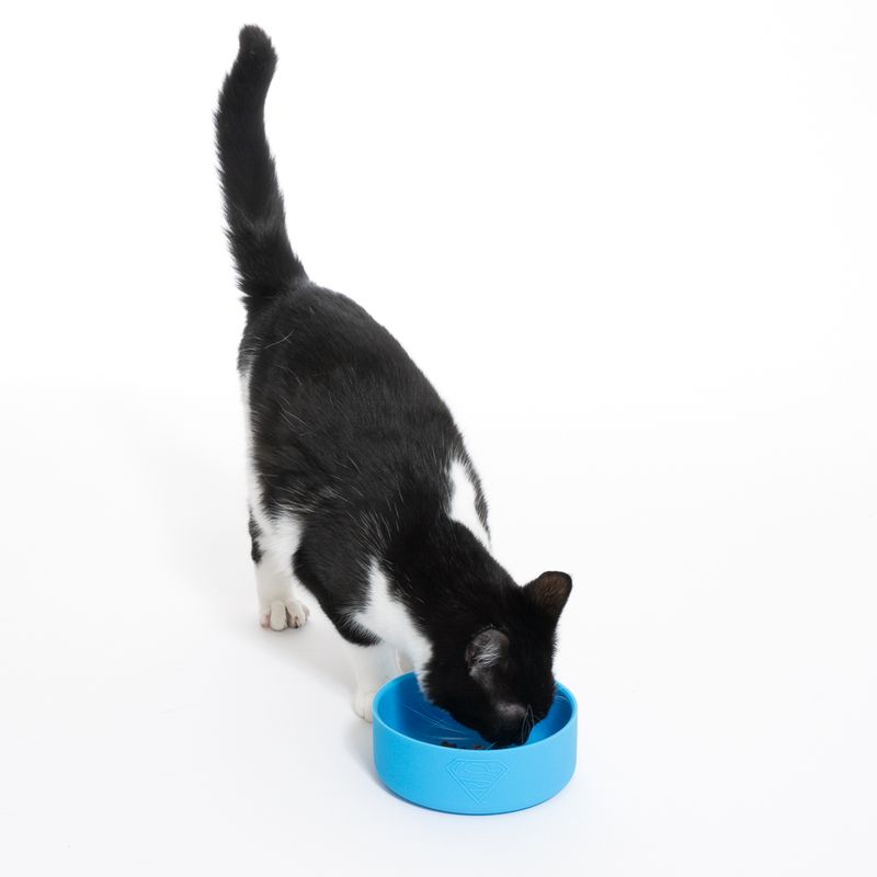 Warner Bros™ DC Superman Silicone Bowl 600ml, diameter 14cm