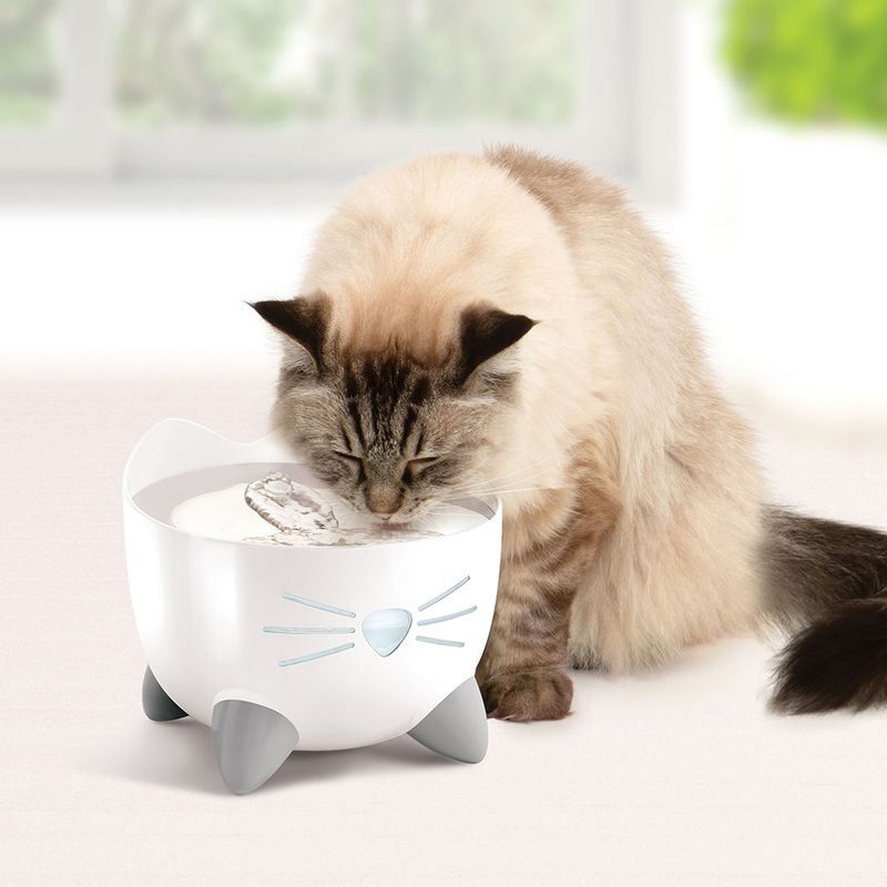 Catit PIXI Stainless Steel Drinking Fountain Drinking Fountain (2.5 Litres)