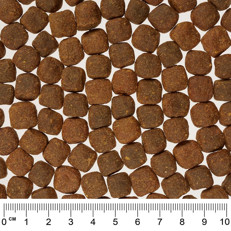 Rocco Mealtime - Beef 80g