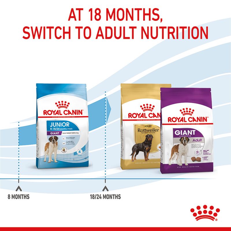 Royal Canin Giant Junior 15kg