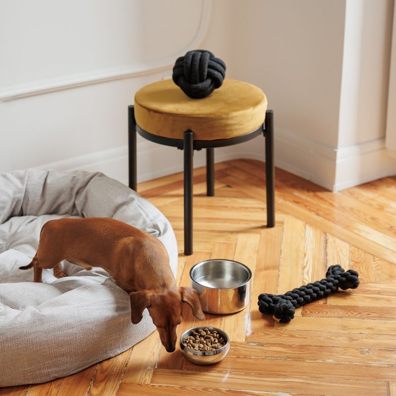 Modern Living Papua Rope Bone 30cm (L)