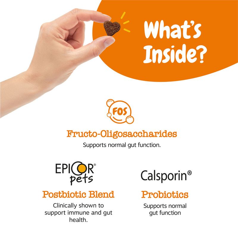 Zesty Paws Probiotic Chews Digestion - Pumpkin 90 Chews