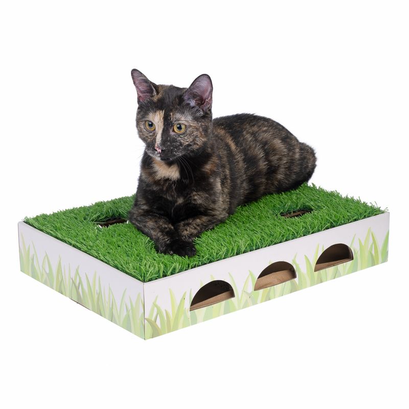 TIAKI Hunting Box with Grass Patch Cat Toy 40 x 28 x 7 cm (L x W x H)
