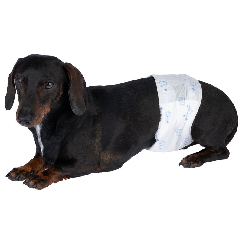 zooplus Basics Male Dog Nappies Size S: 32 - 44cm, 50 Nappies