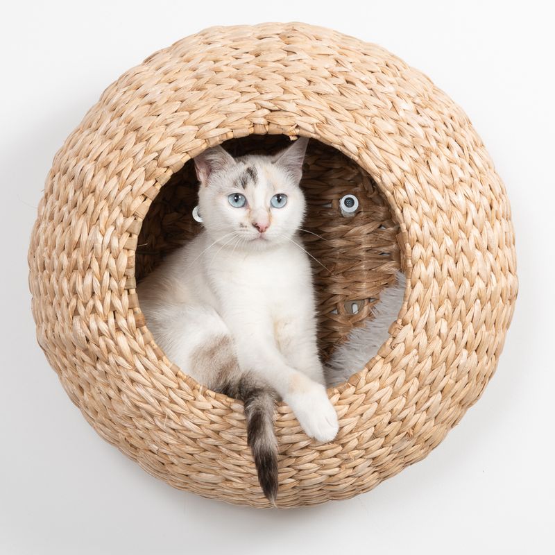 Modern Living Luxor Wall-Mounted Cat Bed 45 x 25 x 45cm (L x W x H)