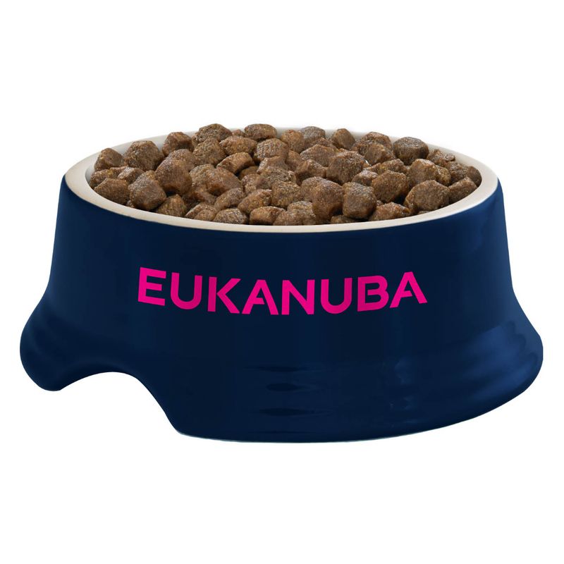 Eukanuba Puppy Large Breed Chicken 15kg