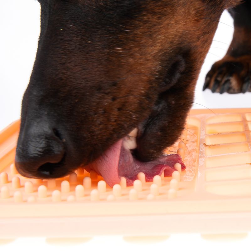 TIAKI licking mat with suction cups L 29 x W x H 18 x 1 cm