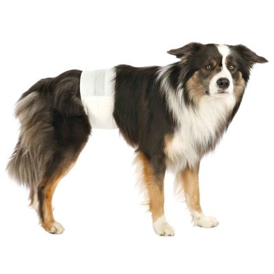 Trixie Nappies for Male Dogs Size XS: 20–42cm
