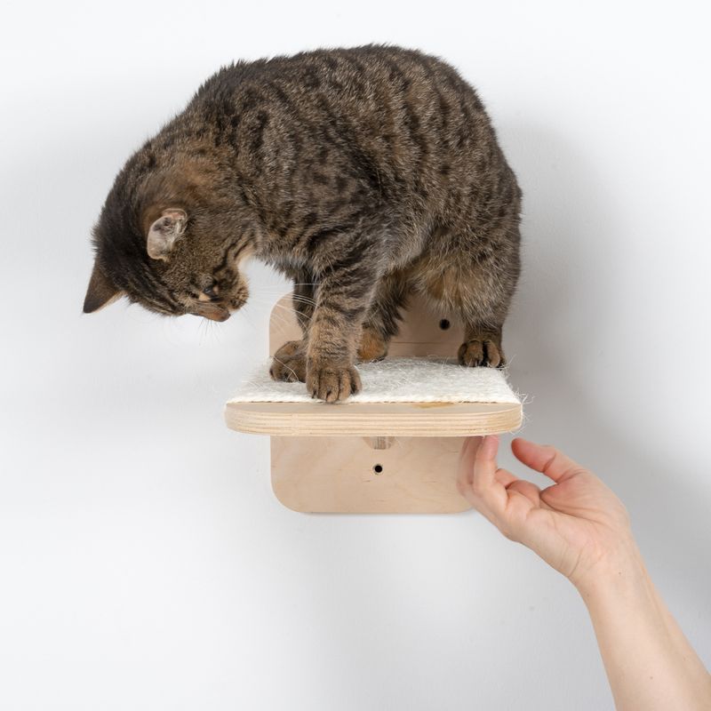 Natural Paradise Dahlia Sisal Platform Nature