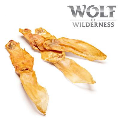 Wolf of Wilderness \