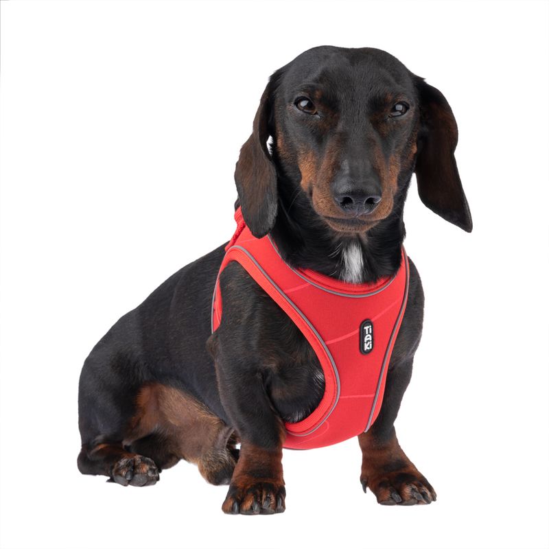 TIAKI Harness Wave Vest - Red Size XS: 36cm chest circumference