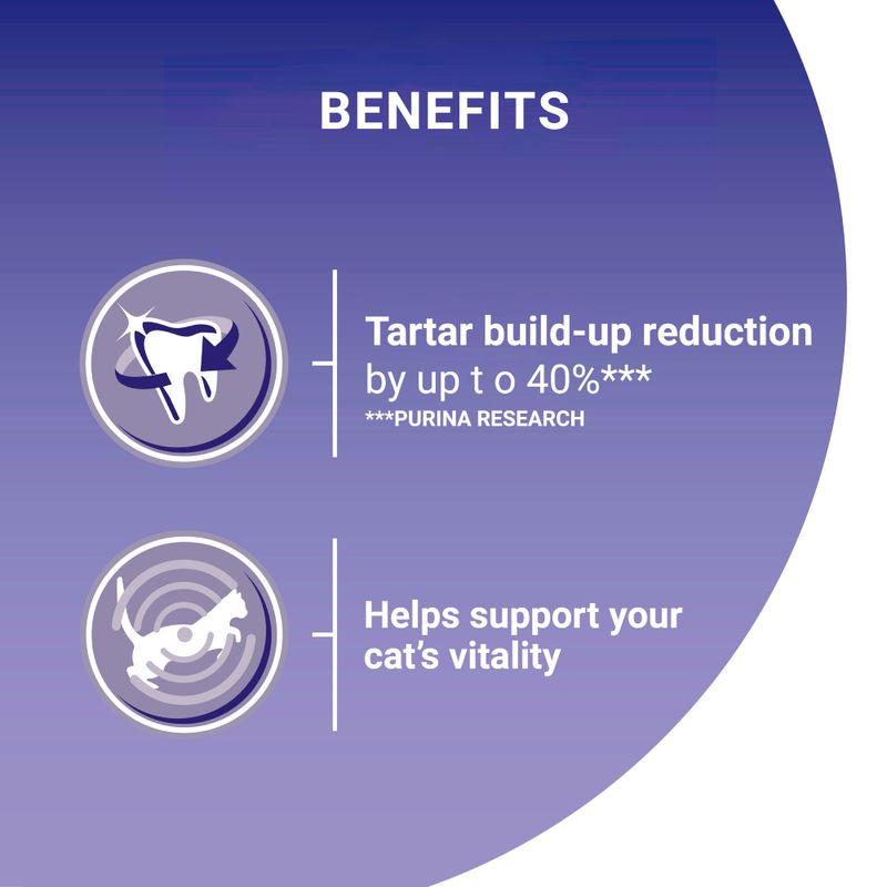 PURINA ONE Adult Chicken & Whole Grains Dry Cat Food 9.75kg