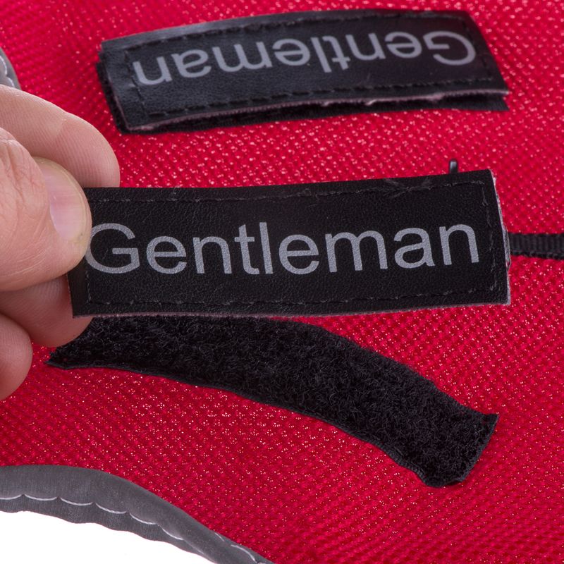 Trixie XCat Harness with Lead and Exclusive Stickers Black