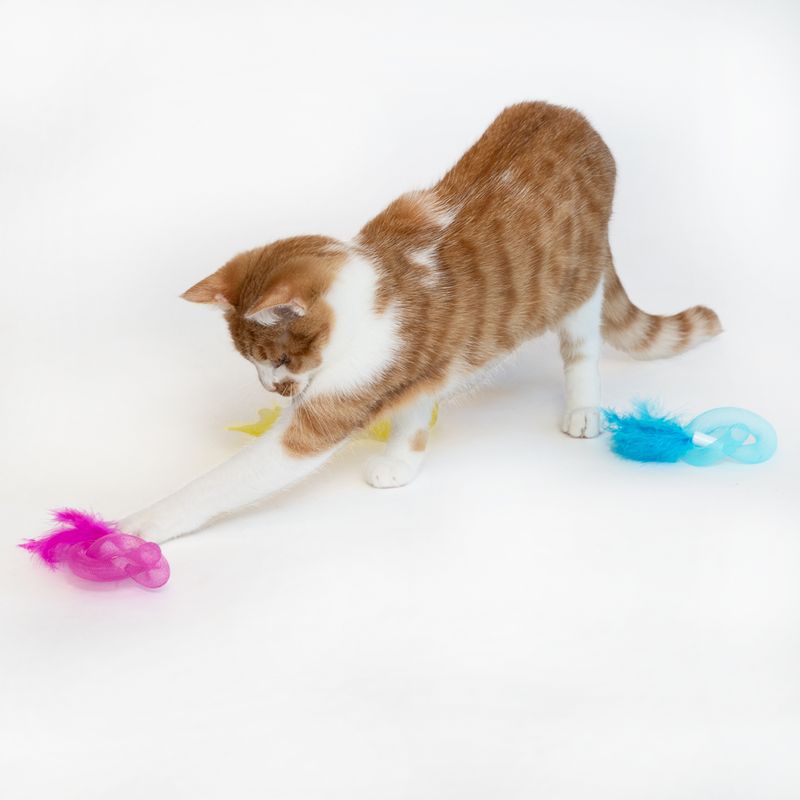 TIAKI Tubes with Feathers Cat Toy Set Set of 3