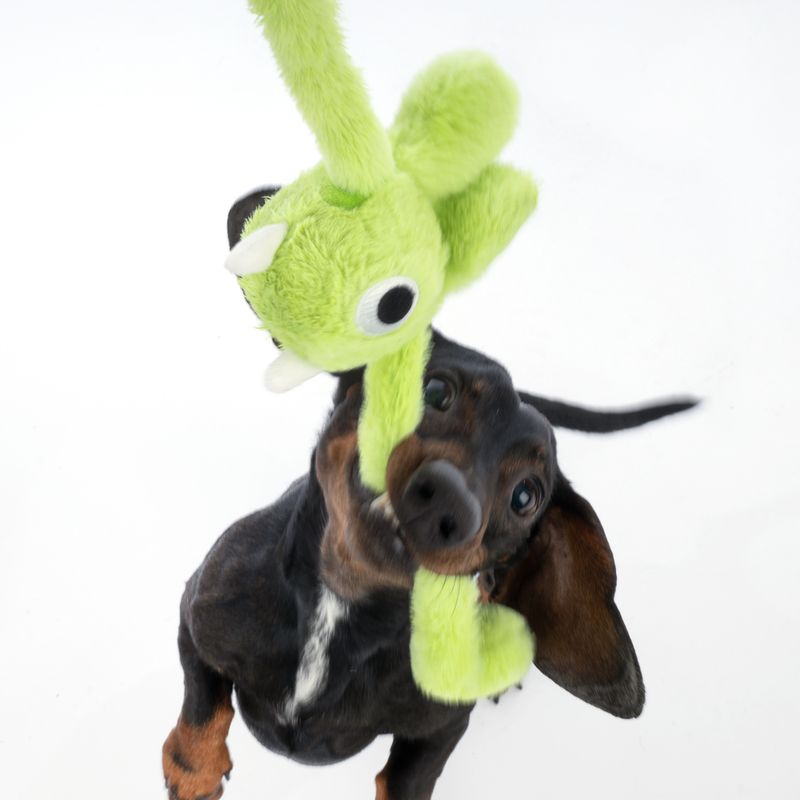 TIAKI Stretch Monster Ball Dog Toy 1 Toy