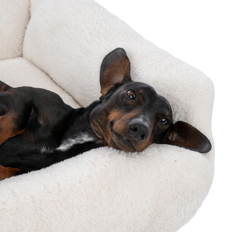 TIAKI Lazy Bear Dog Bed – Ecru Size M: 70 x 55 x 20cm (L x W x H)