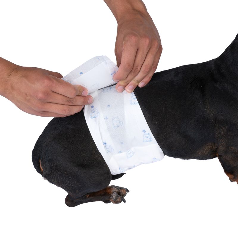 zooplus Basics Male Dog Nappies Size S: 32 - 44cm, 50 Nappies