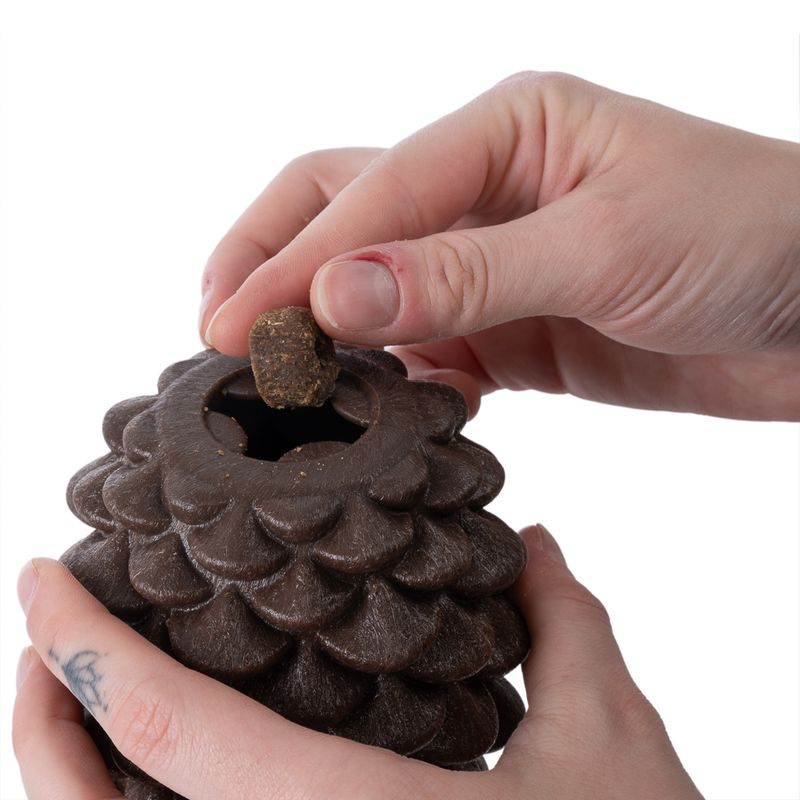 TIAKI Pine Cone Puzzle Toy 1 Toy