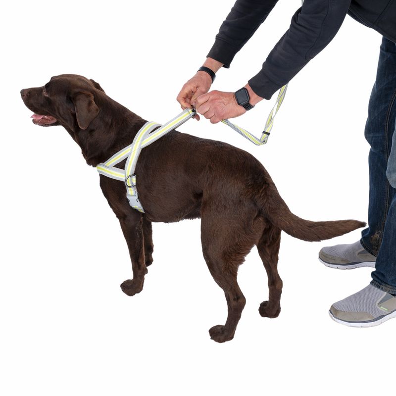 TIAKI No-pull harness S: approx. 55-65 cm chest circumference