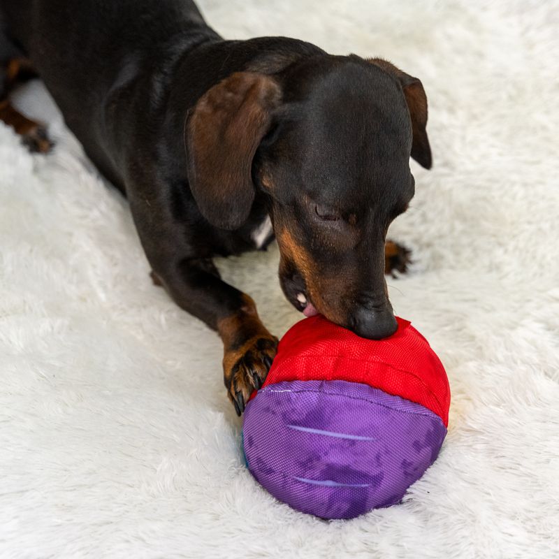 TIAKI Rainbow Snack Ball 13cm (Diameter)