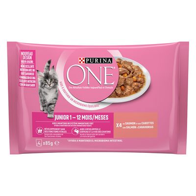 PURINA ONE Junior Salmon & Carrots (4 x 85g)