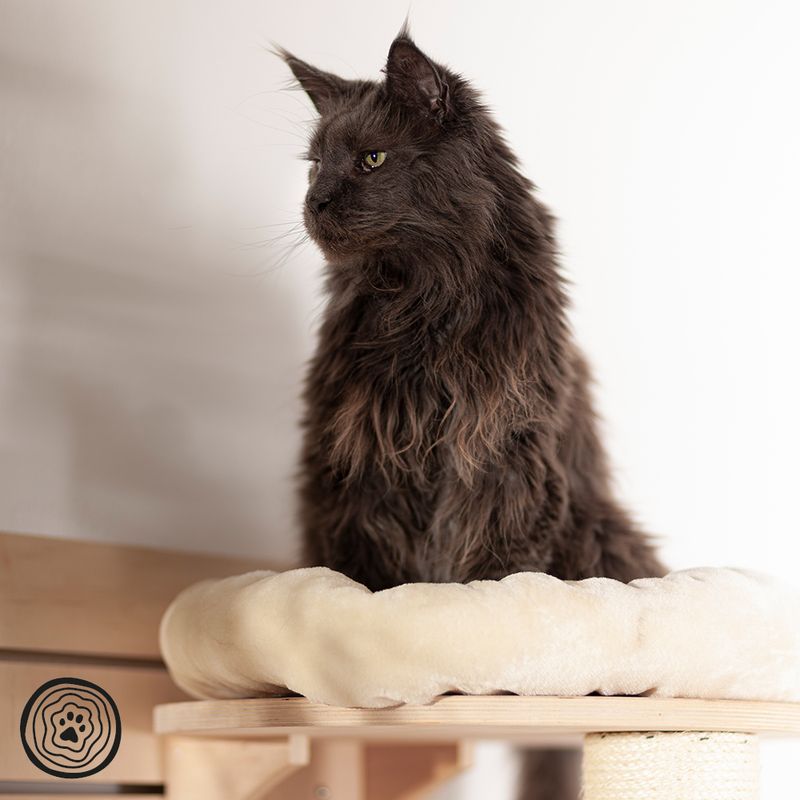 Natural Paradise Wall Scratching Board - Dahlia Cream