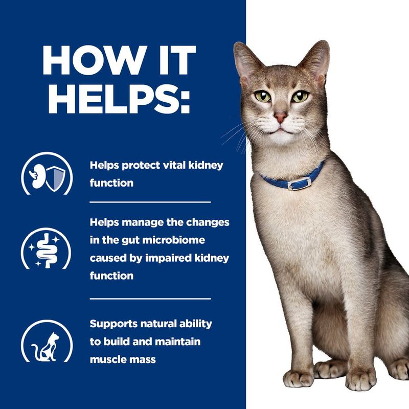 Hill's Prescription Diet Feline k/d Kidney Care - Chicken 1.5kg