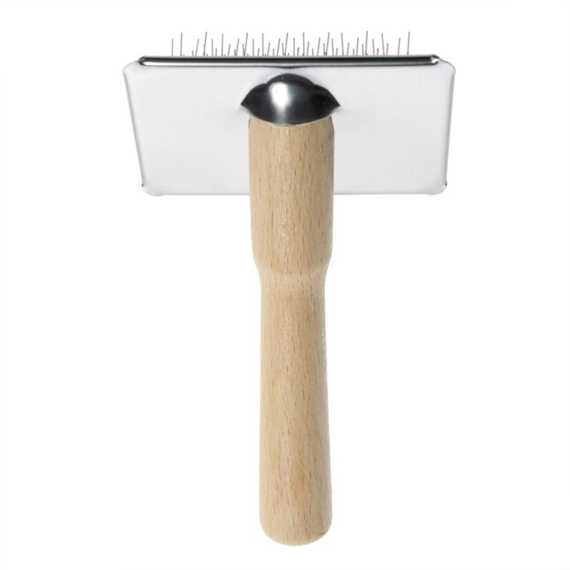 Soft Brush and Brush Cleaner 12 x 5.5cm (L x W)