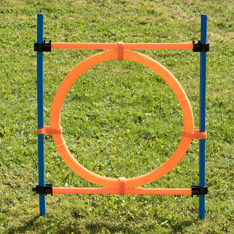 Agility Fun & Sport Jumping Hoop complete set: jumping hoop, diameter 55 cm