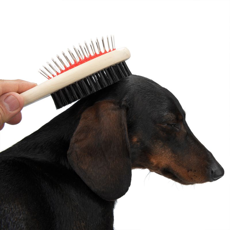 Double-sided Oval Brush 22 x 6cm (L x W)