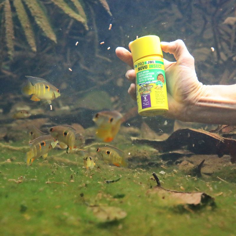 JBL ProNovo Insect Stick S 250ml
