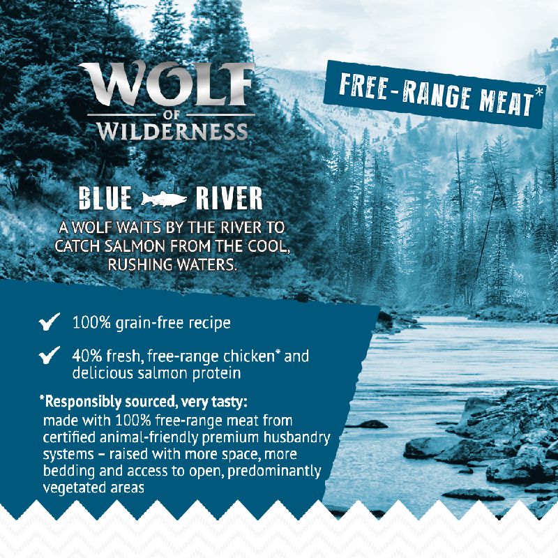 Wolf of Wilderness Adult \