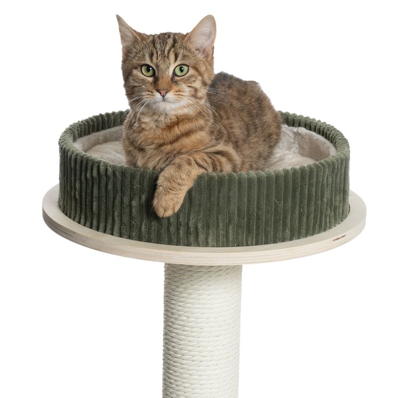 Modern Living Helsinki Scratching Tree S Army Green/Cream