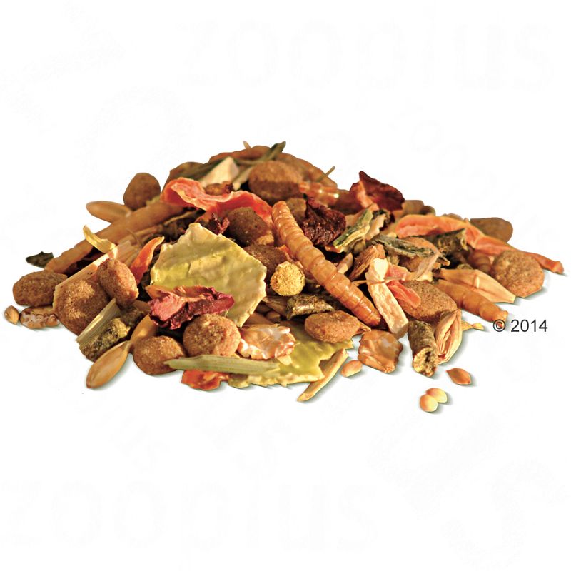 Bunny Dwarf HamsterDream Basic 600g