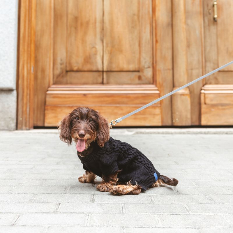 Nomad Tales Blush Dog Jumper - Ebony approx. 35cm Back Length