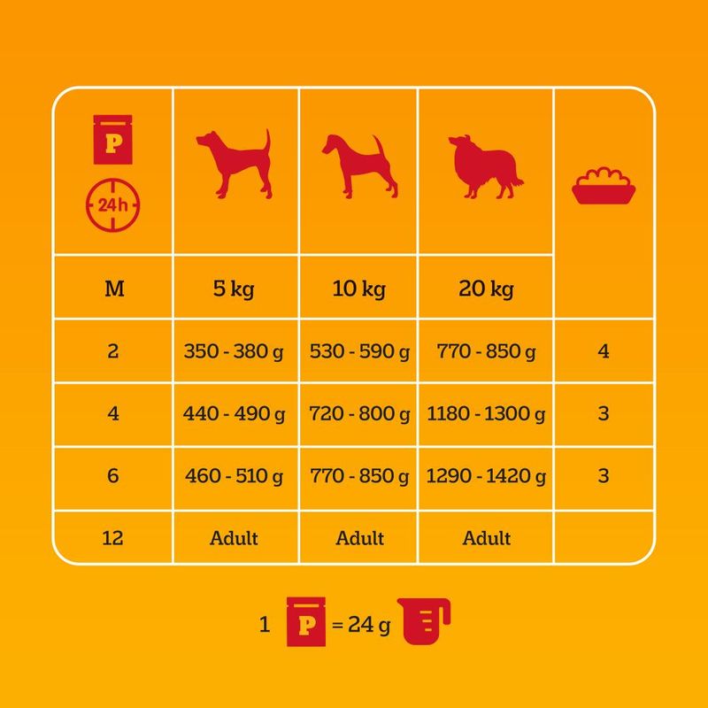 Pedigree Junior Pouch in Jelly Mixed Selection: 4 Varieties (12 x 100g)