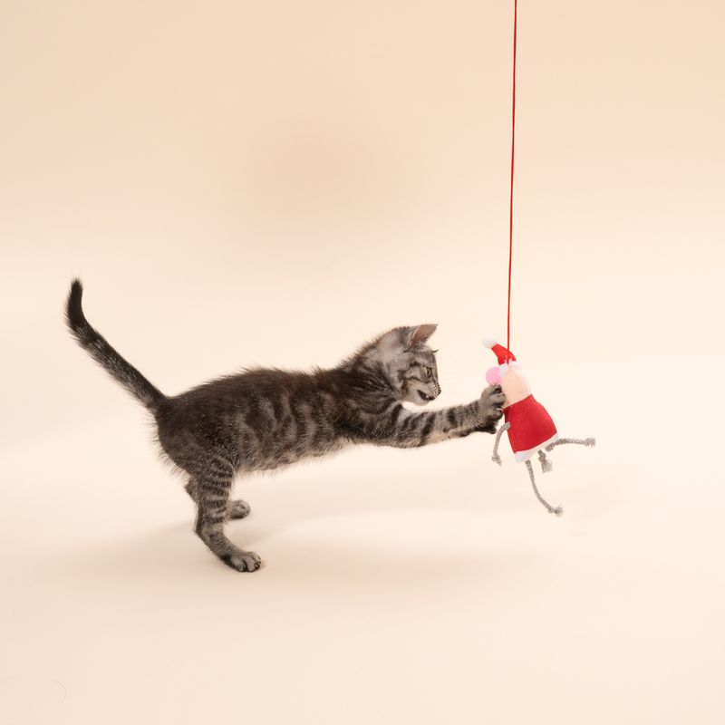 TIAKI Mouse Couple Door Hanger Set Set of 2