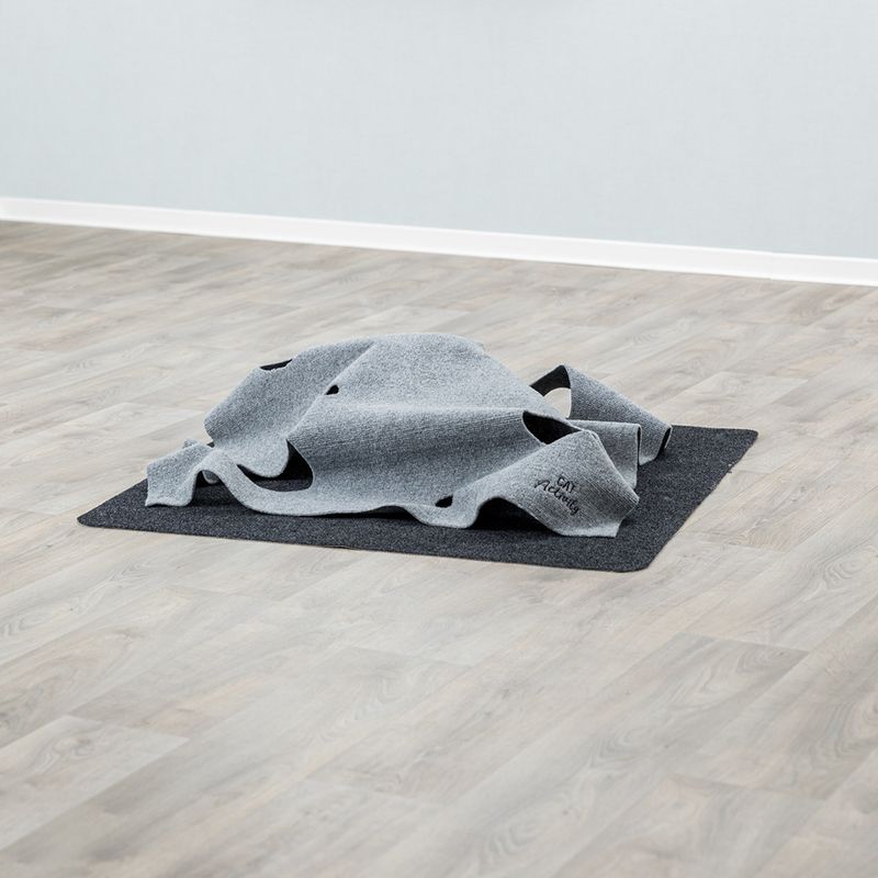 Trixie Cat Activity Adventure Carpet 1 Toy