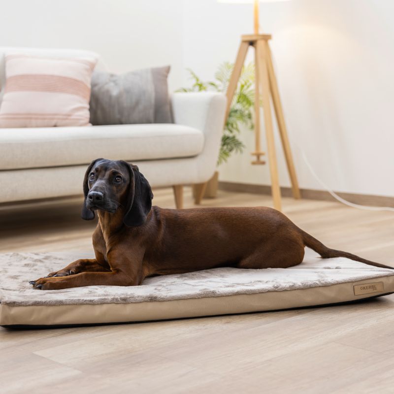 Kerbl Pet Multifunctional Mattress Approx. 72 x 50 x 5cm (L x W x H)