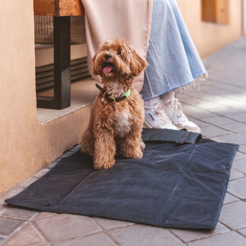 Nomad Tales Ebony Travel Dog Mat 80 x 60 cm (L x W)