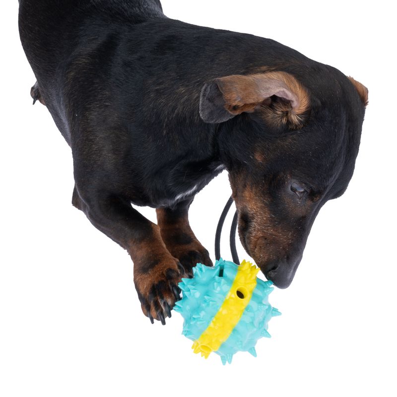 TIAKI Spiky Treat Ball with Suction Cup 1 Toy