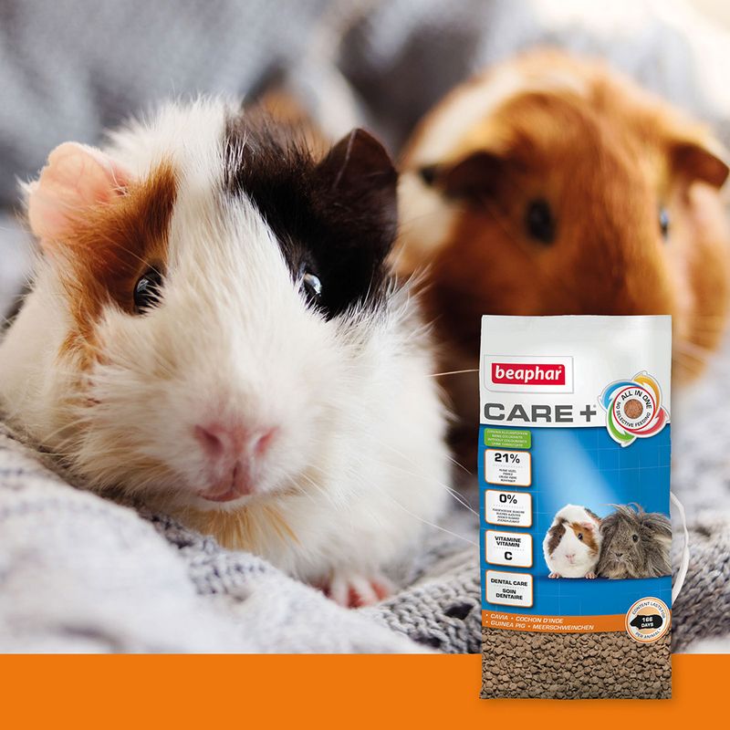 Beaphar Care + Guinea Pig 5kg