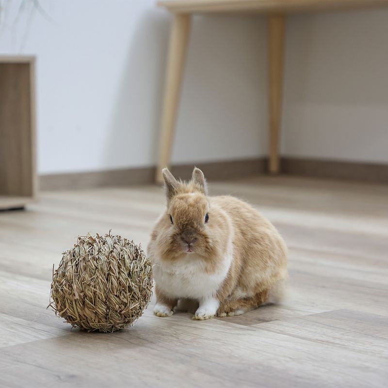 Kerbl Pet Grass Ball Ø 13 cm