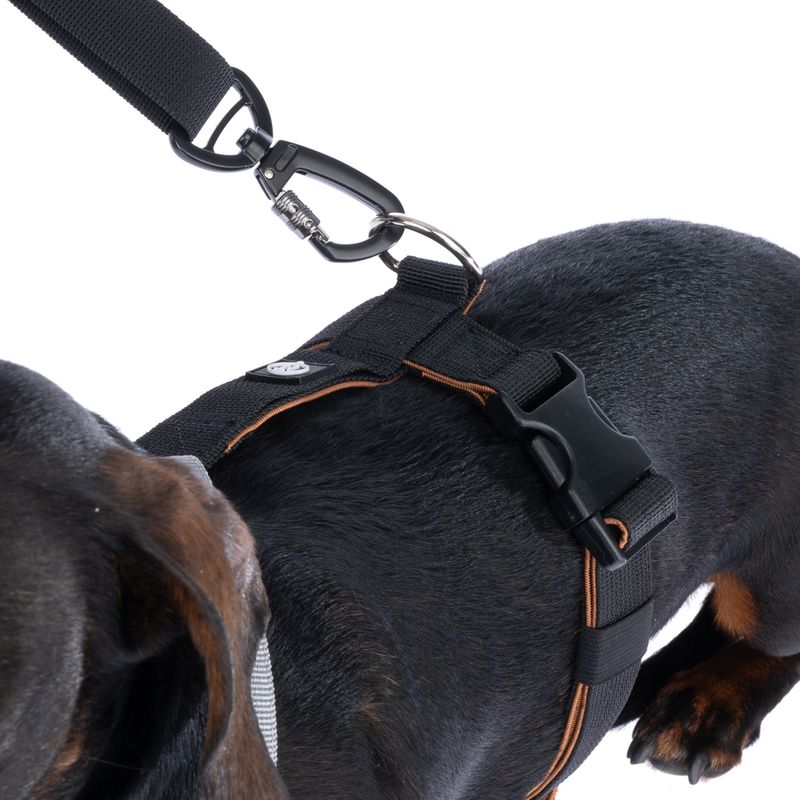 Nomad Tales Spirit Adjustable Dog Lead approx. 150 - 200 cm Length