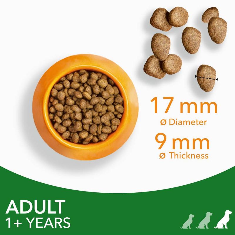 IAMS Advanced Nutrition Adult Large Dog - Lamb 12kg