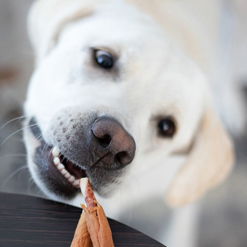 8in1 Triple Flavour Ribs Chew Sticks 6 Sticks