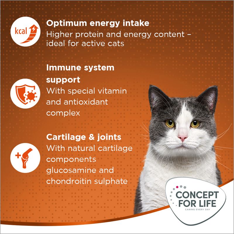 Concept for Life Outdoor Cats 400g