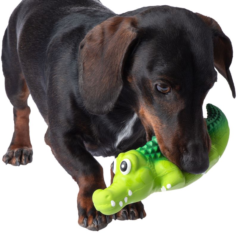 Dog Toy Latex Crocodylus approx. L 20 x W 6 x H 5 cm