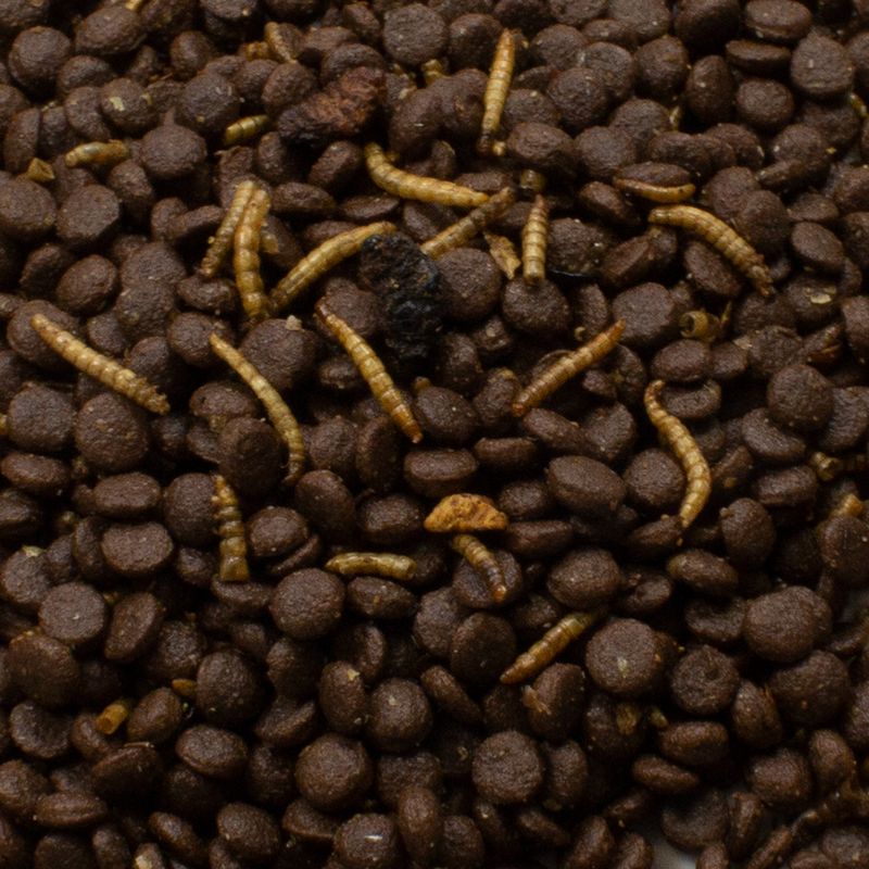 JR Garden Grain-Free Hedgehog Food 750g