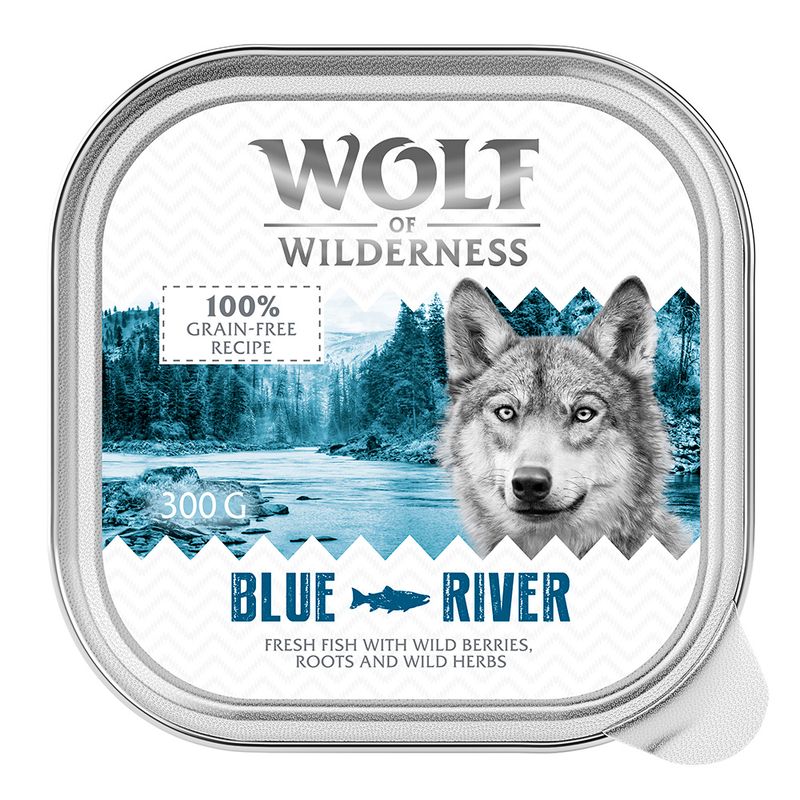 Wolf of Wilderness Adult Saver Pack 24 x 300g High Valley - Beef